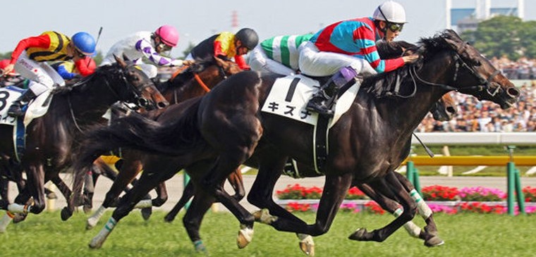 The Japanese Parliament reaffirms its opposition to the legalization of sports games and activates the control mechanisms of the game.
